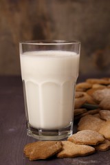 Transparent glass cup with milk and ginger spicy cookies on a wooden table