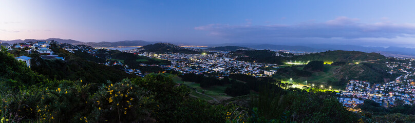 ニュージーランド　ウェリントンのタワタワ保護区からの夜景