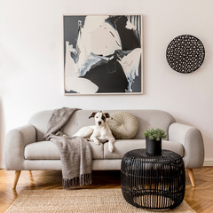 Stylish and scandinavian living room interior of modern apartment with gray sofa, pillows, plaid, plants, design  commode, abstrac paintings on the wall. Modern home decor. Dog is lying on the sofa.