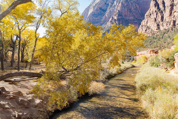 Naklejka premium Beautiful landscape around Zion National Park