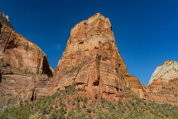 Fototapeta premium Beautiful landscape of Angels Landing around Zion National Park