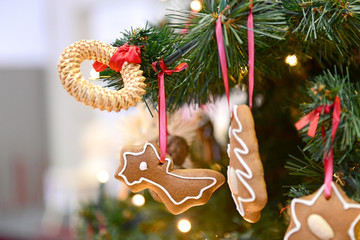 Christbaum in Bad Ischl (Bezirk Gmunden, Oberösterreich) - Christmas tree in Bad Ischl (district...