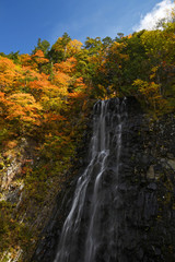 Fototapeta na wymiar Waterfall with Autumn Color in Akita