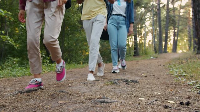 Dolly shot of legs unrecognizable tourists walking in forest travelling in wild nature wearing modern footwear. Recreation, people and the woods concept.