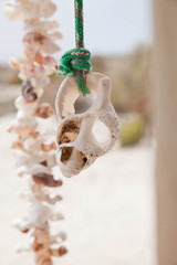 West Coast Crushed Seashell Decoration
