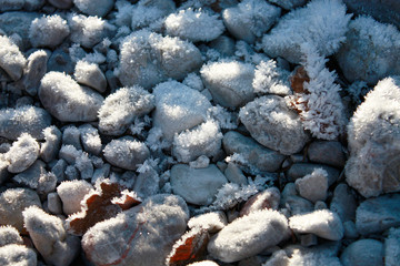 Frost im Winter