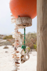 West Coast Crushed Shell Decoration