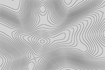 Fototapeta premium Imitation of a geographical map, dark lines on gray background, vector design