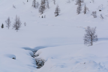 Fototapeta na wymiar Landscape in Kaunertal ski resort, Tyrol, in the Austrian Alps. River , snow and isolated trees.