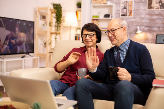 Elderly old couple using modern laptop to chat with their grandson