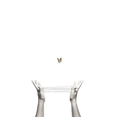 surreal moment of a colorful butterfly that flies free after having escaped from a man-made trap