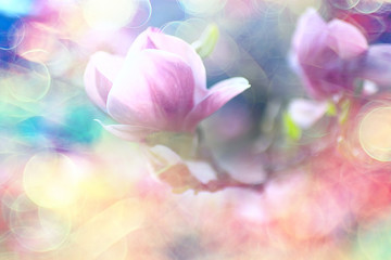 blurred background flowers / concept not clear soft background for design spring mood