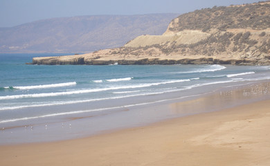 Fototapeta na wymiar einsamer strand bei taghazout mit möwen