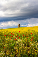 Church of San Cristobal bell tower in Itero del Castillo on the Way of St. James, Camino de Santiago, Province of Burgos, Castile and Leon, Spain behind a field