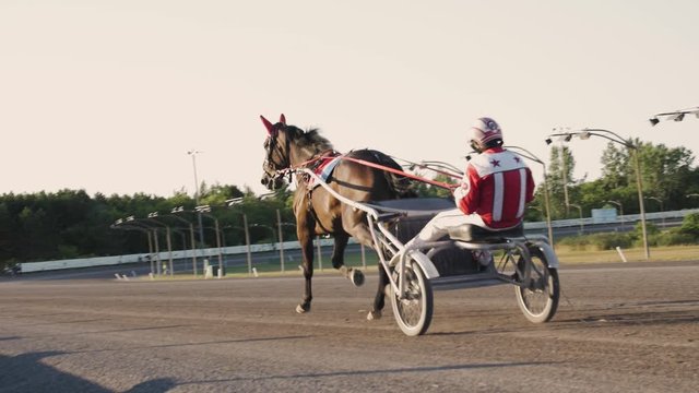 Horse chariot race in Ottawa, Ontario, Canada
