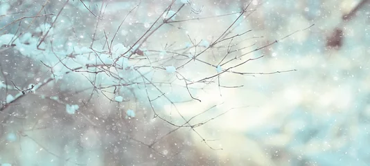 Fototapeten Winterlandschaft im Wald, schöne schneebedeckte Bäume, saisonale Naturansicht, Schneefall am Weihnachtsmorgen © kichigin19