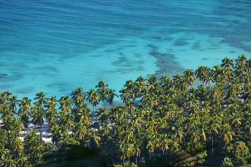 Fototapeta na wymiar Les eaux turquoise de Kokoye Beach et ses palmiers