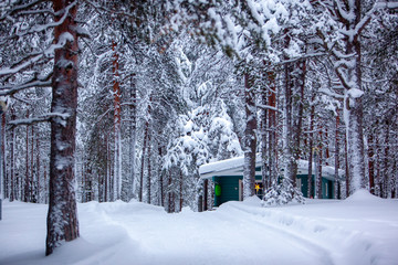 cozy wooden cottage in dark winter forest