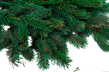 The branches of the Christmas tree. Coniferous tree on white background.
