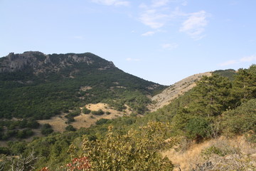 landscape in the mountains