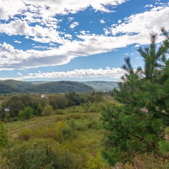 Fototapeta premium River Stryi, view of mountains, landscape of Ukraine