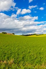 Beautiful agricultural May landscape near Itero del Castillo on the Way of St. James, Camino de Santiago, Province of Burgos, Castile and Leon, Spain