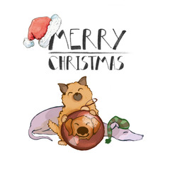 Merry Christmas. cute little dogs isolated on white background. card for the new year. Spitz, Italian Greyhound - 310166518