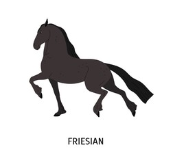 Friesian horse flat vector illustration