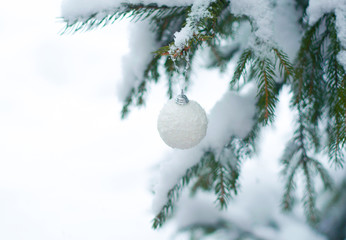 Fototapeta na wymiar Christmas white shiny ball toy on the snow branch of a green tree. Glitter Christmas toy. Snow lies on the branches of fir tree. Christmas winter concept. Copy space for text, font, words. Top view 