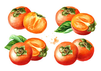 Fresh ripe persimmons set. Watercolor hand drawn illustration isolated on white background