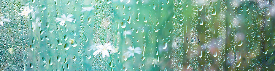 summer rain wet glass / abstract background landscape on a rainy day outside the window blurred background © kichigin19