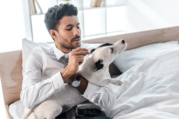 bi-racial businessman looking at Jack Russell Terrier in morning at home