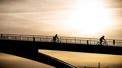 A bike-rider drive down the bridge in the late backlight sun near Cologne