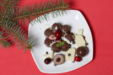 Chocolate fudge garnished with chocolate, mint and cranberries. Lies on a white plate, on a white background. Near a branch of spruce.