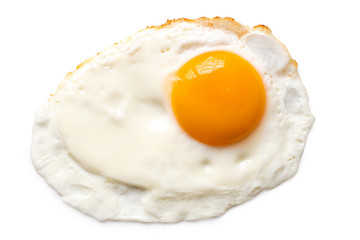 Single fried egg.