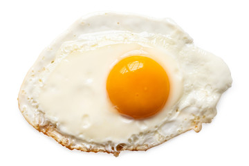 Single fried egg.