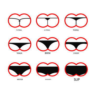 Vecteur Stock Types of women's panties. Set of underwear - slip, t-string, g -string, thong, tanga, bikini, cheeky, hipster, boyshorts. Vector  illustration | Adobe Stock