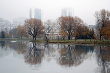 Cityscape on a cloudy foggy day. Horizontal shot. Reflection in water.