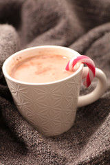 mug with warm winter chocolate, milk and cocoa