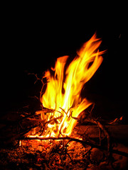 Bonfire on the beach