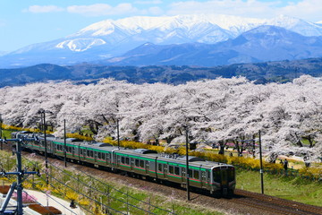 蔵王連峰と白石川一目千本桜をバックに走る東北本線。