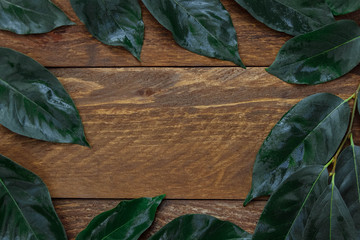 Frame with green leaves on branches on a brown wooden background in vintage style with an empty...