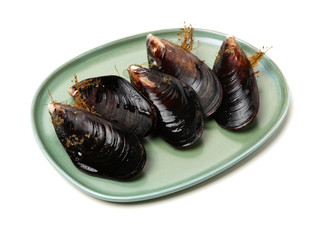Fresh mussel on white background