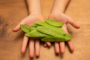 キヌサヤを持った子供の手