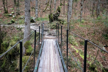 Bridge in the woods in Triglav national park