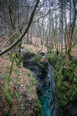 Mostnica Gorge in Triglav national park 