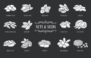 Nuts and seeds glyph icons