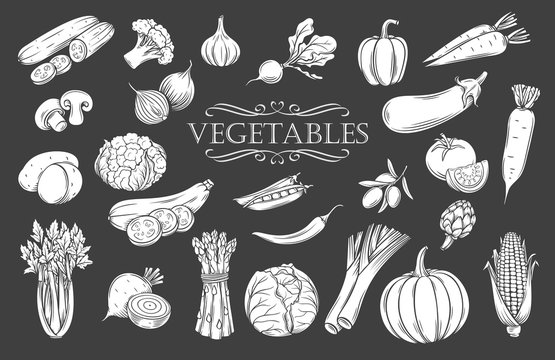 Vegetables glyph icons set