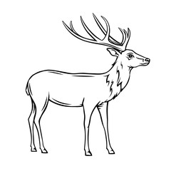 wild deer icon