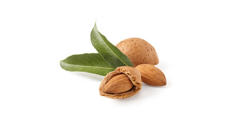 Almond